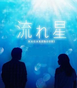 流星2010 Nagareboshi