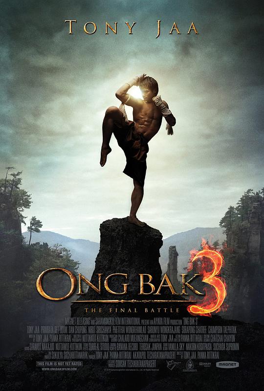 拳霸3 盗佛线3/Ong Bak 3