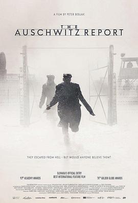 奥斯维辛报告 The Auschwitz Report