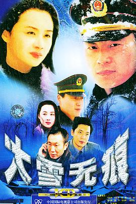 大雪无痕 traceless snow