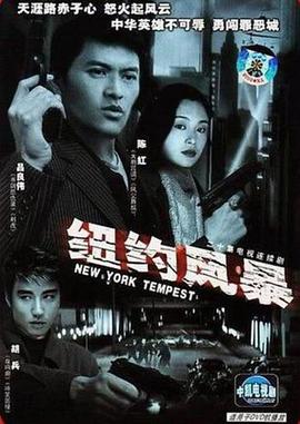 纽约风暴 New York Tempest