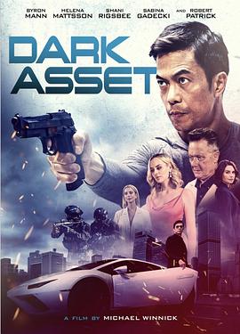 黑暗资产 Dark Asset