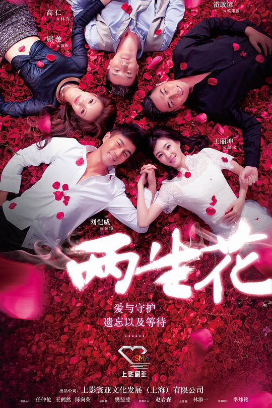 两生花 岁月是朵两生花