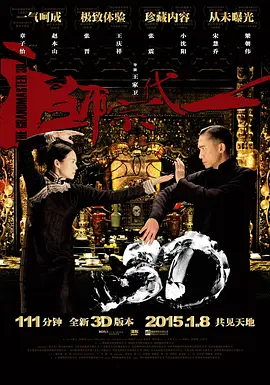 一代宗师(普通话版) 一代宗师3D / 一代宗师终极版 / The Grandmaster
