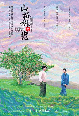 山楂树之恋 山楂树之恋