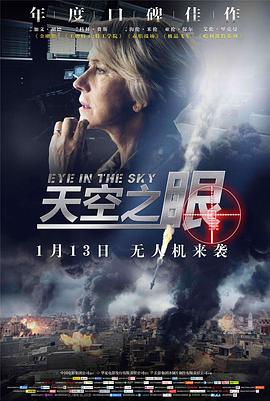 天空之眼 天眼行动(台) / 天眼狙击(港)