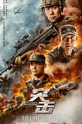 突击 突击2011 / The Assault