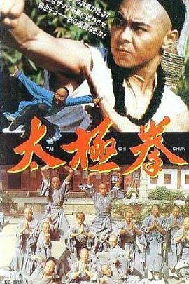 太极拳 太极神功 Secret of Tai Chi Revenge of the Tai-Chi Master Taiji Master
