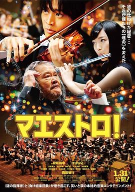 艺术大师 寻找心乐章(台),音乐大师,Maestro