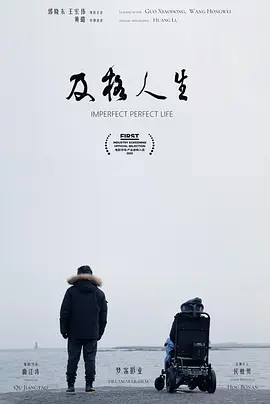 及格人生 Imperfect Perfect Life