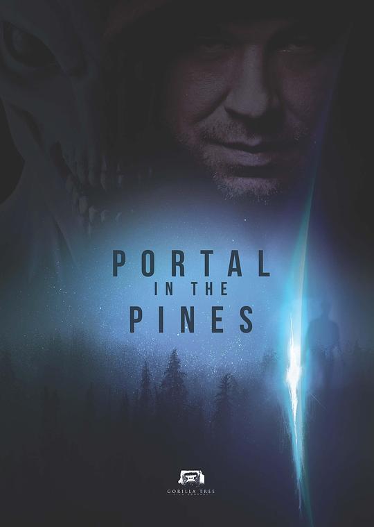 松林之门 Portal in the Pines