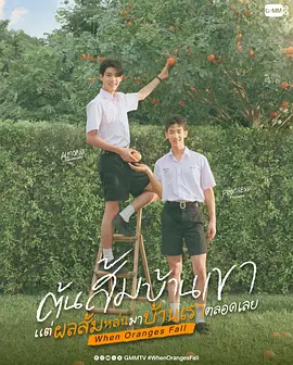 当橘子掉落时 ต้นส้มบ้านเขา แต่ผลส้มหล่นมาบ้านเราตลอดเลย