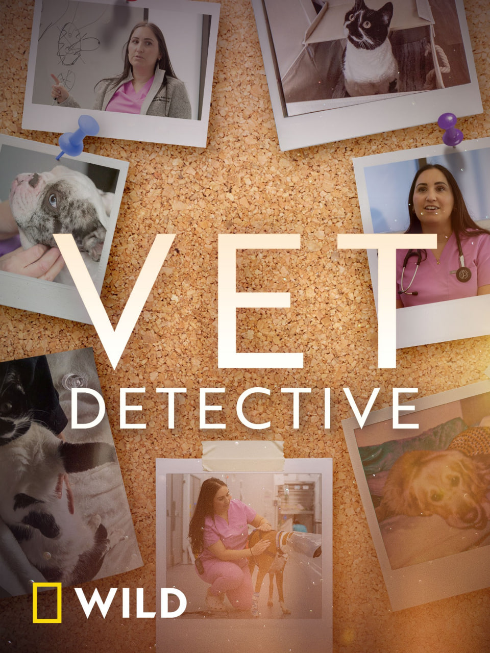 兽医侦探 第一季 Vet Detective